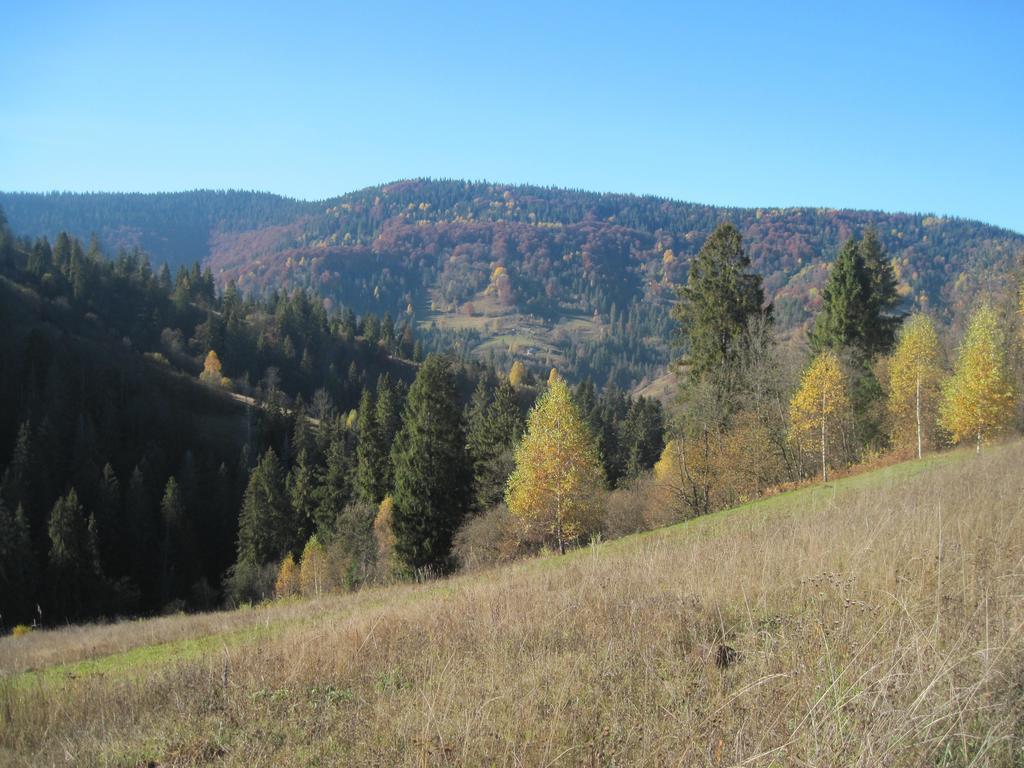 Guest House Stari Druzy Slavske Buitenkant foto