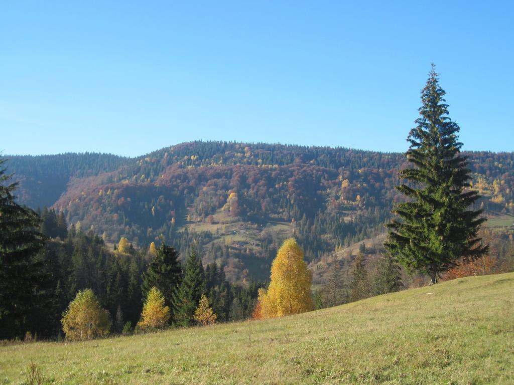 Guest House Stari Druzy Slavske Buitenkant foto