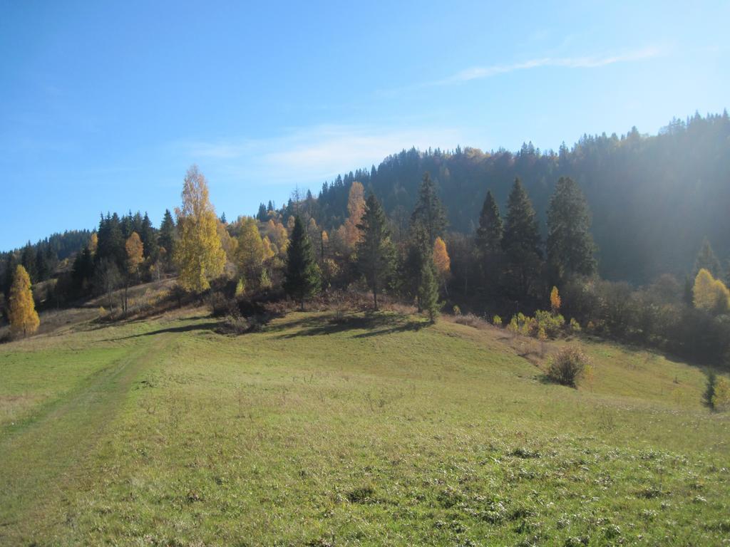Guest House Stari Druzy Slavske Buitenkant foto