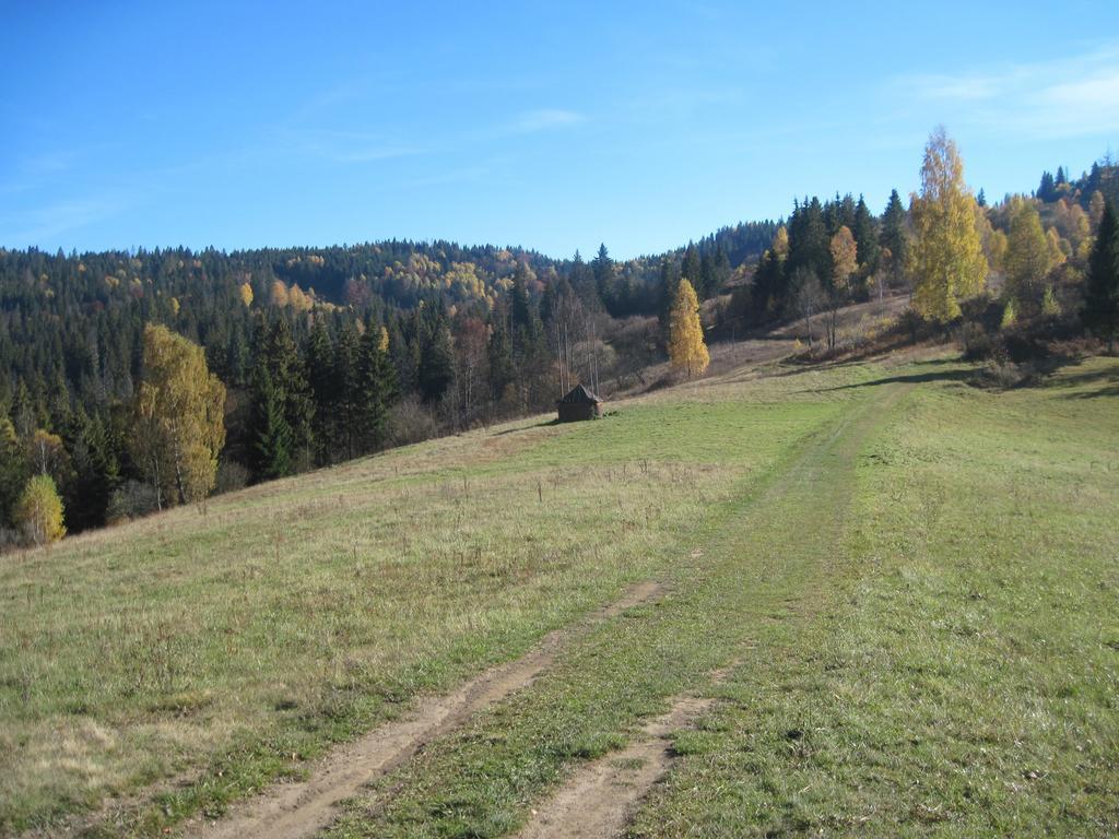 Guest House Stari Druzy Slavske Buitenkant foto
